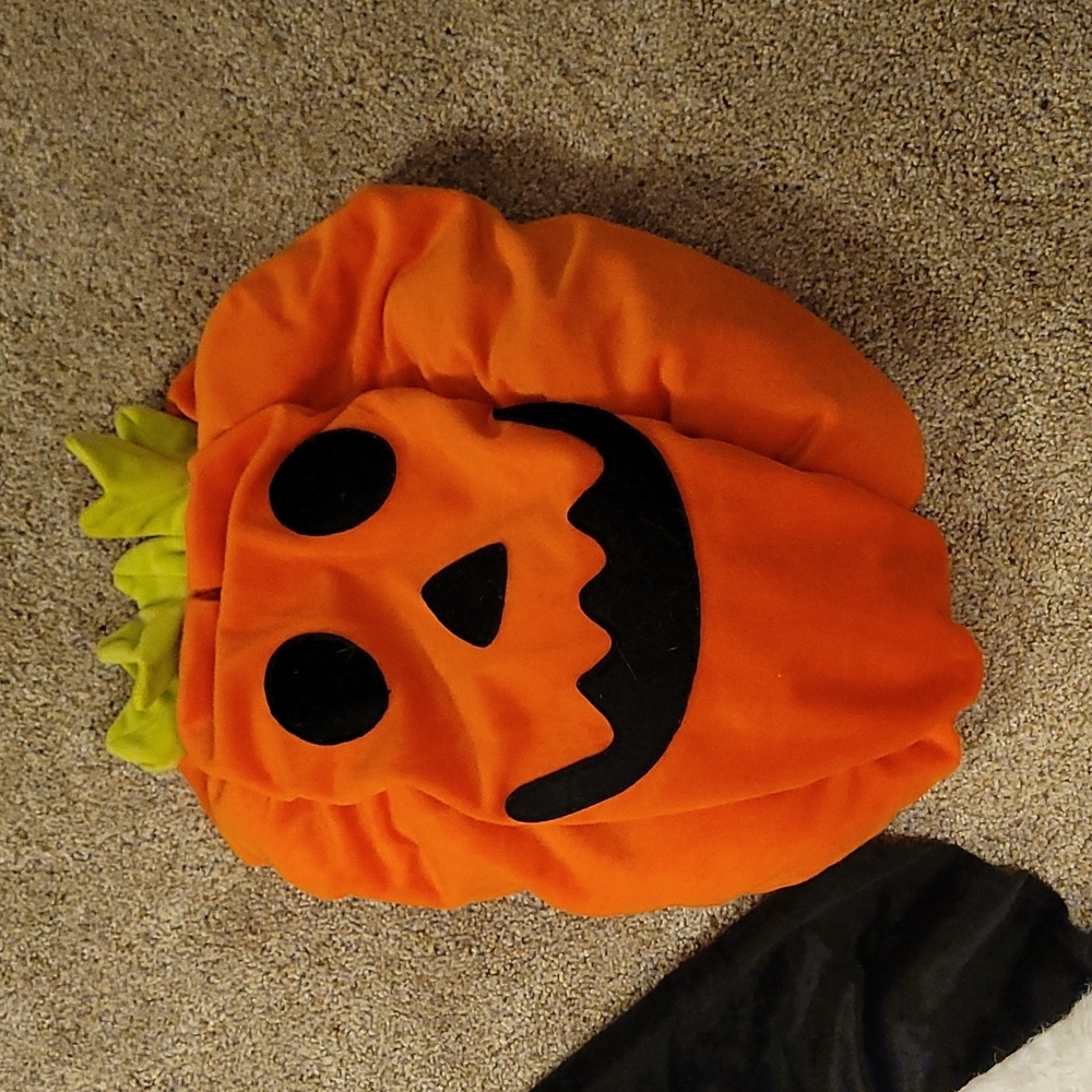 Large Dog Costumes - Picture 4 of 5